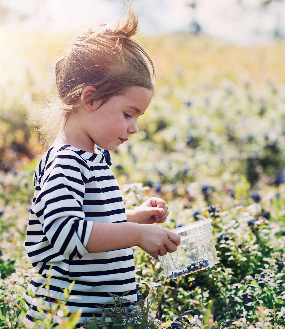 Les aliments locaux : cuisinez écolo!