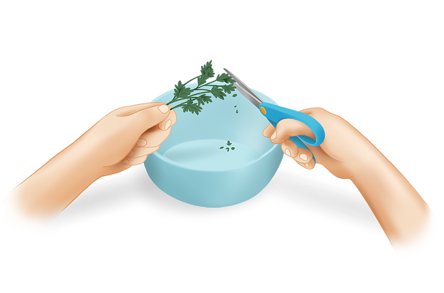 Couper des fines herbes aux ciseaux (ciseler)