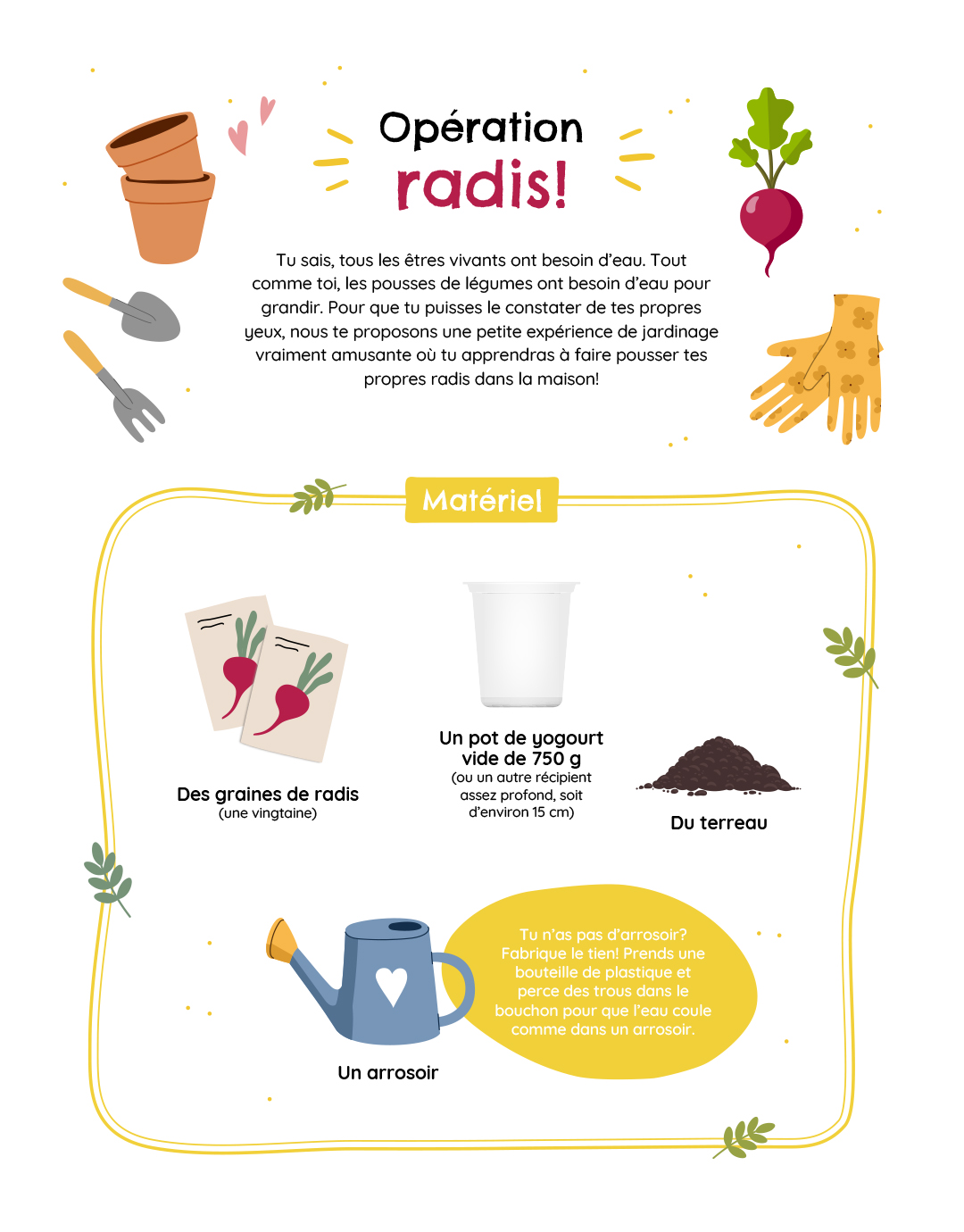 Faire pousser des radis à la maison