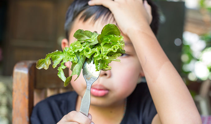 Néophobie et sélectivité alimentaires : comment simplifier les repas?