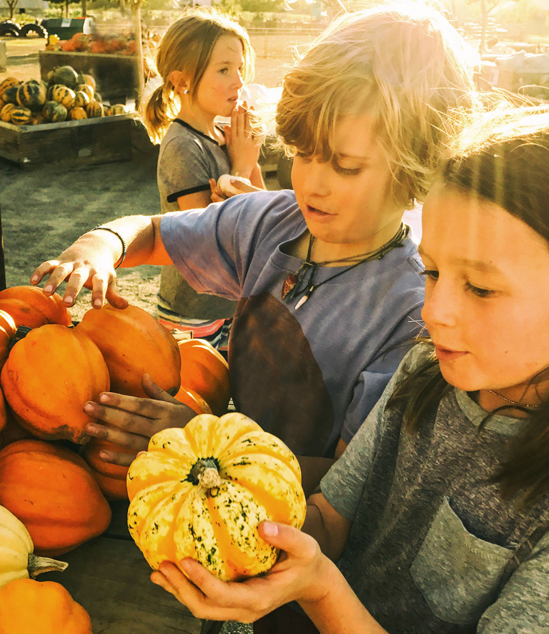 6 conseils pour aider votre enfant à aimer les fruits et légumes 